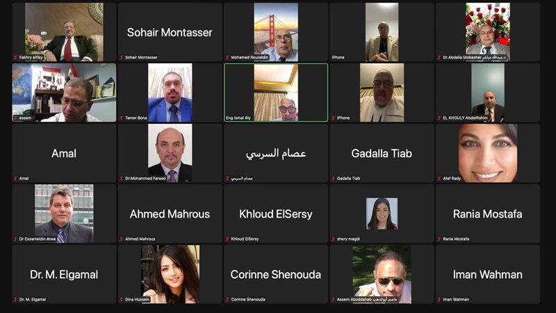 اتحاد المصريين بالخارج