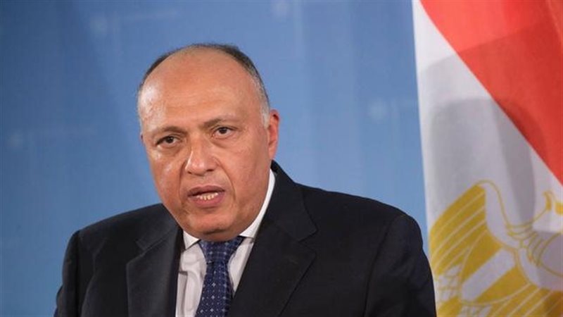 سامح شكري وزير الخارجية