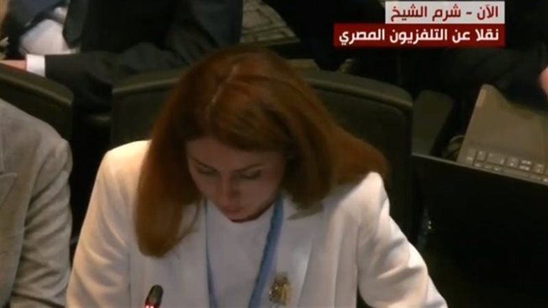 مندوبة دولة الإمارات