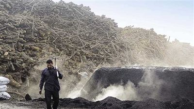 الزراعة تواجه التغيرات المناخية بمحاصرة مكامير الفحم.. حماية الأراضي تحرر محاضر لـ 