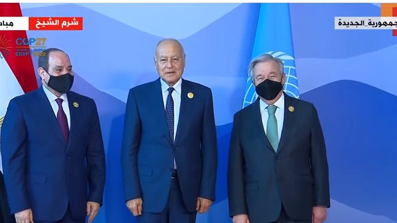 السيسي يتسقبل الأمين