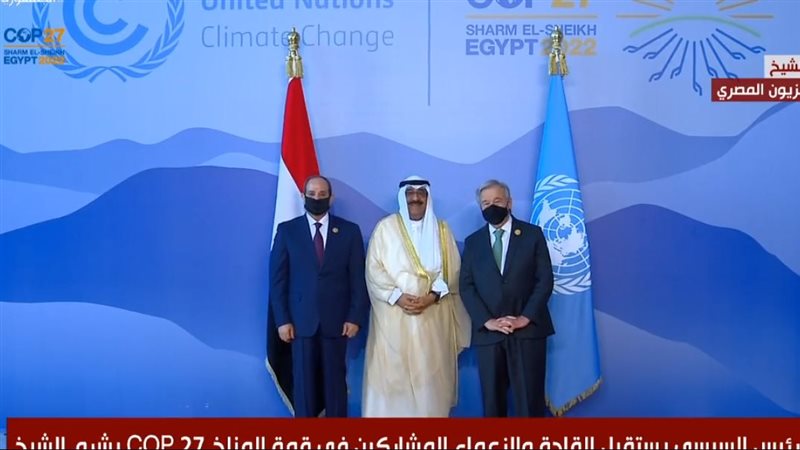السيسي يستقبل ولي