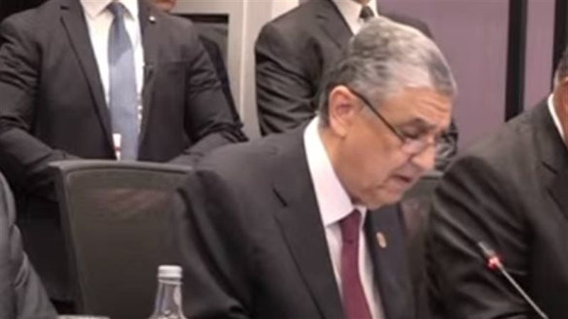 وزير الكهرباء محمد