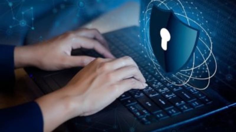 حماية البيانات 