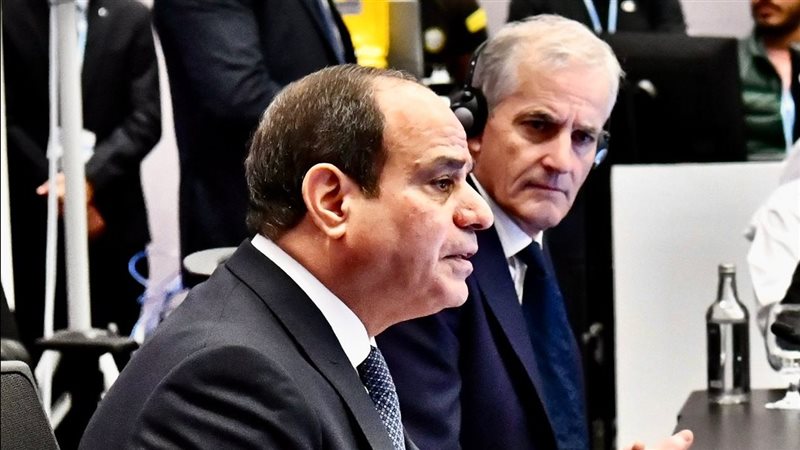الرئيس عبد الفتاح