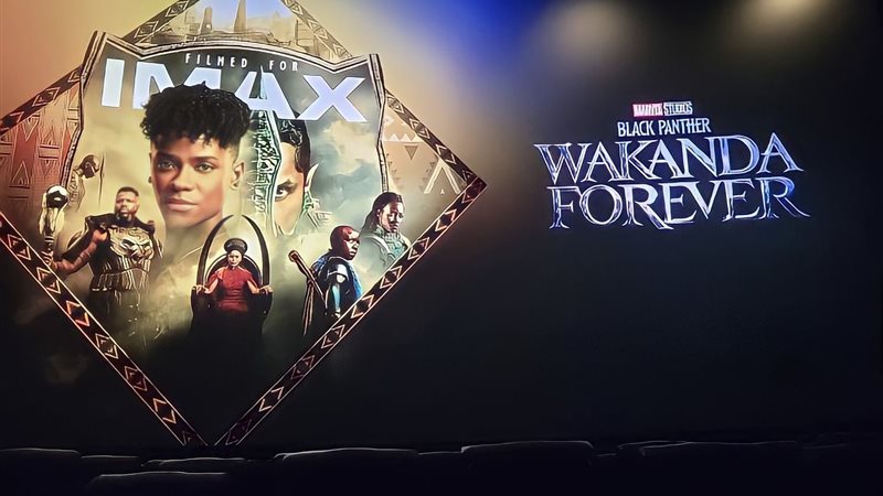  Black Panther Wakanda