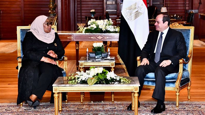 الرئيس عبد الفتاح