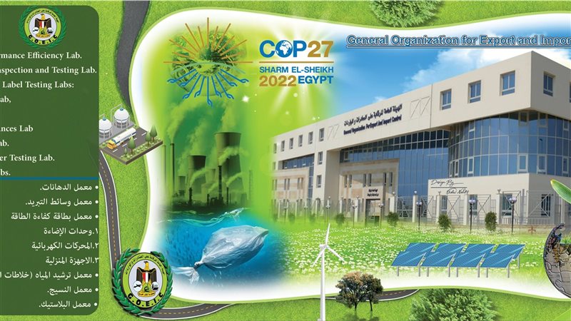 الهيئة العامة للرقابة