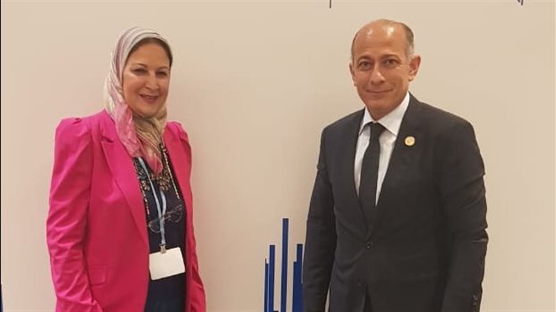 السفير وائل ابو المجد