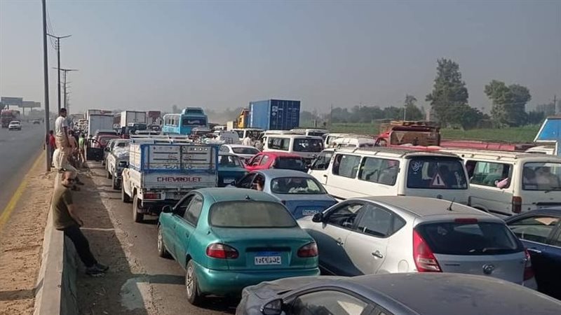طريق الإسكندرية الزراعي