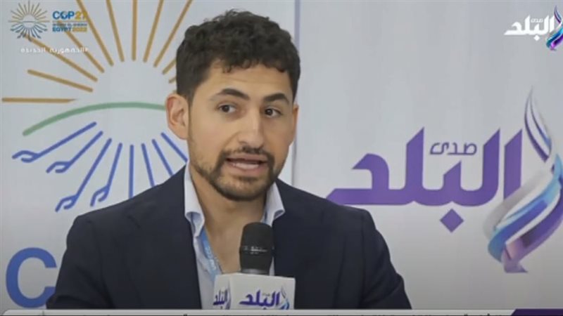 الفنان امير المصري