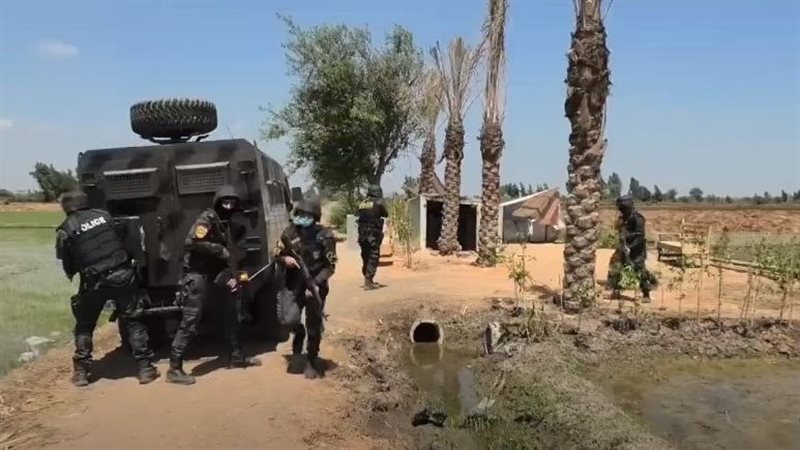 مداهمة أمنية، فيتو