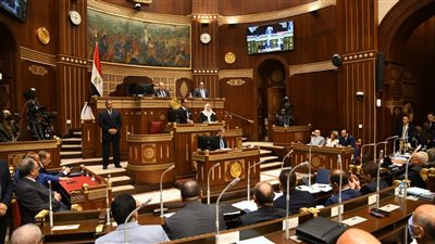 مجلس الشيوخ يوافق نهائيا على تعديلات قانون السلك الدبلوماسي والقنصلي 