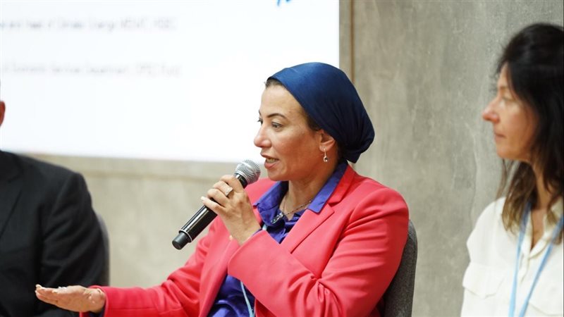 وزيرة البيئة 