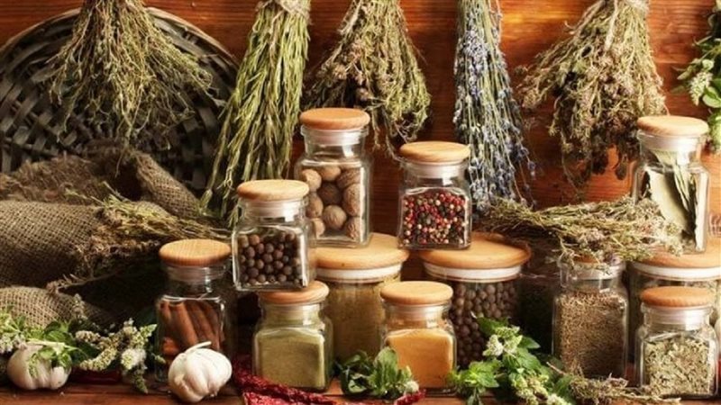 اعشاب تقوي المناعة