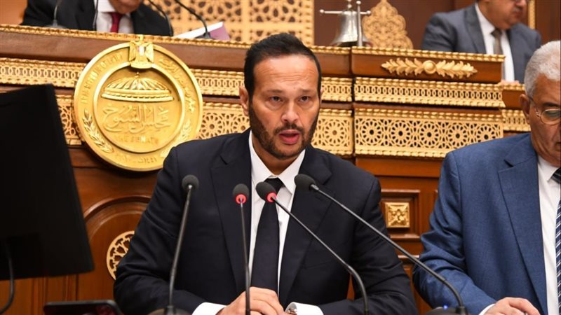 النائب محمد حلاوة