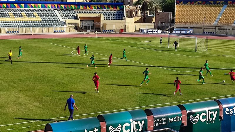 مجموعة الصعيد