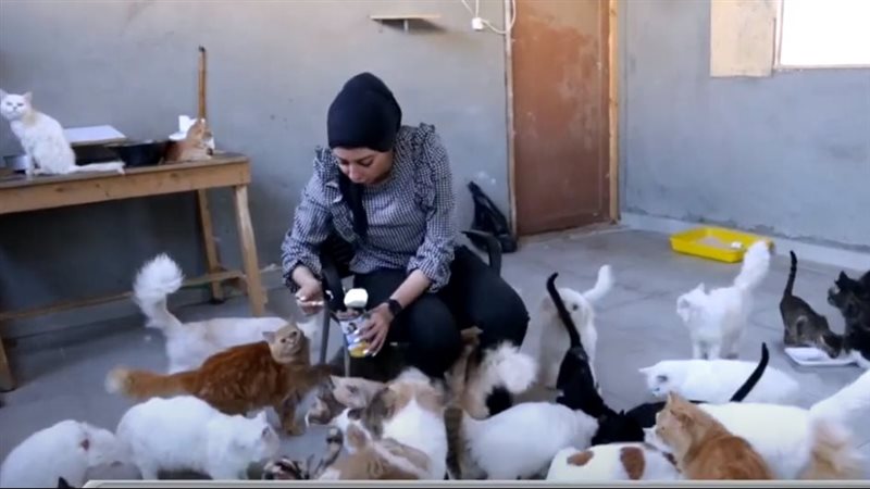 دار دمياط لرعاية