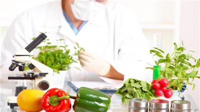 لتجنب التسمم الغذائي.. كيف تتخلص من التأثير الضار للميكروبات على الأغذية؟