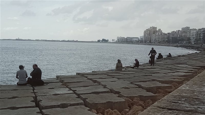 الاسكندريه 