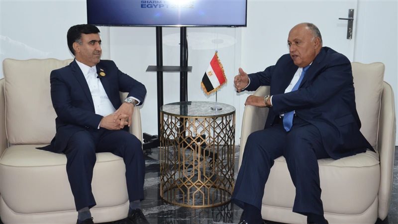  سامح شكري وزير الخارجية