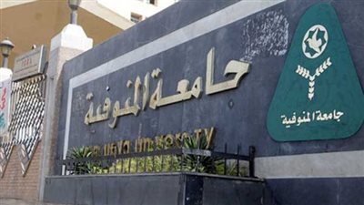 الصحافة الإلكترونية والإبداع في التحرير الصحفي.. ورش تدريبية بإعلام المنوفية