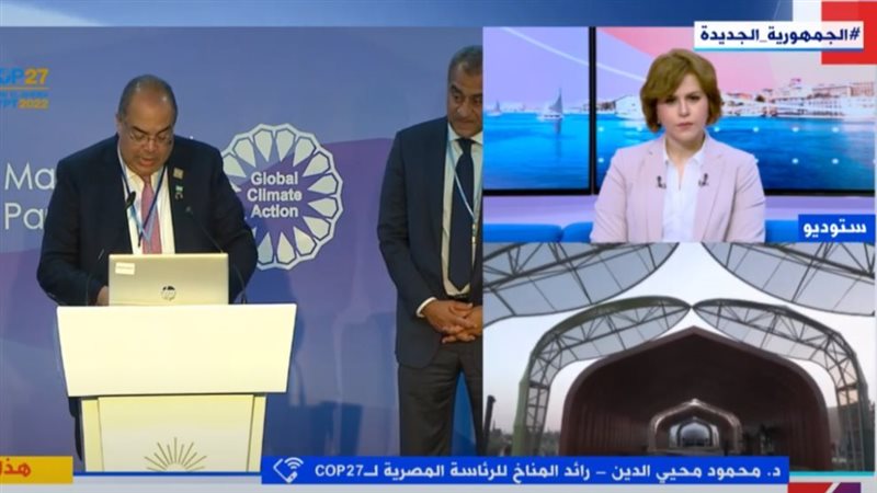 الدكتور محمود محيي
