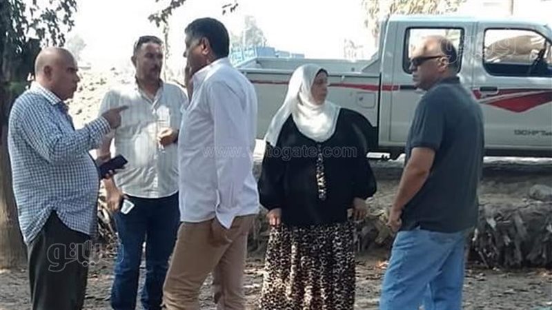 المهندسة آمل حامد