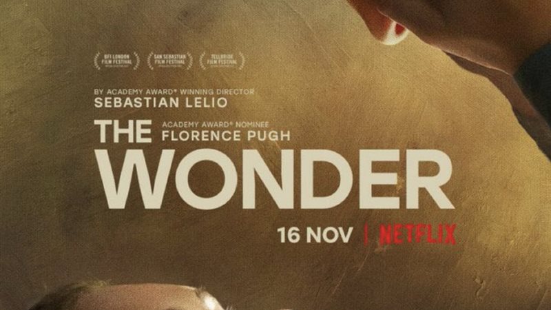  THE WONDER