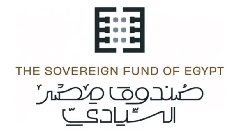صندوق مصر السيادي،فيتو