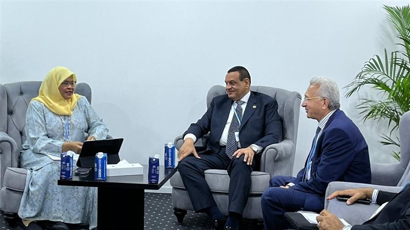 وزير التنمية المحلية
