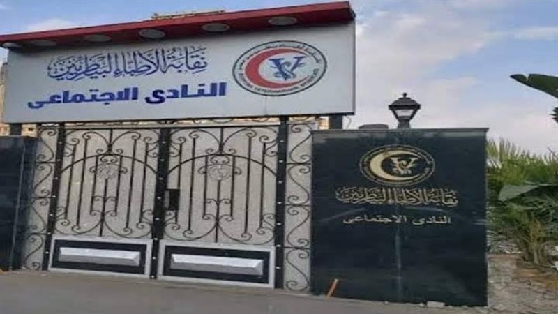 اتحاد نقابات المهن