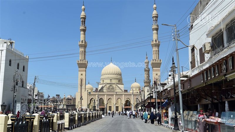منطقة السيد البدوى
