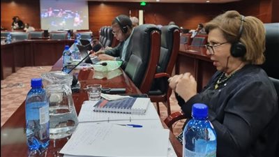 رئيسة القومي لحقوق الإنسان تشارك في اجتماعات خبراء اللجنة الأفريقية حول حقوق ورفاهية الطفل