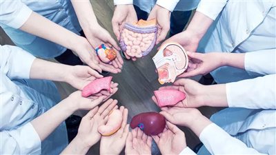 شروط التبرع بالأعضاء للأقارب وفق القانون