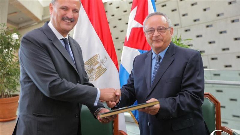 الاسكندريه 