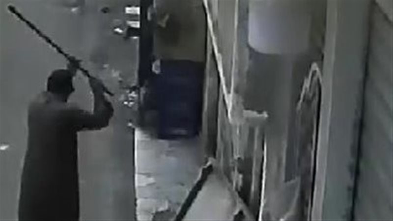 مرتكب الواقعة