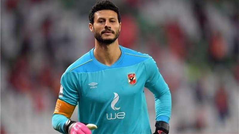 محمد الشناوي