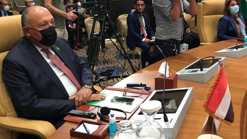 سامح شكري في اجتماع