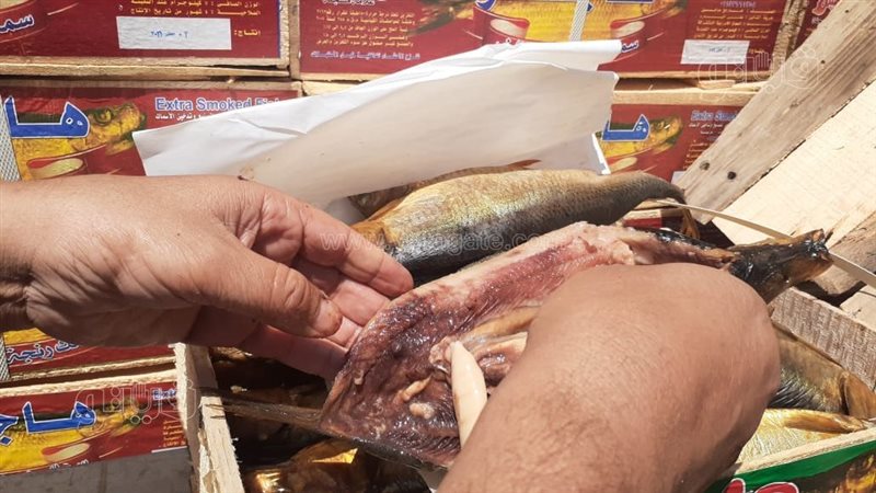 الواقعة