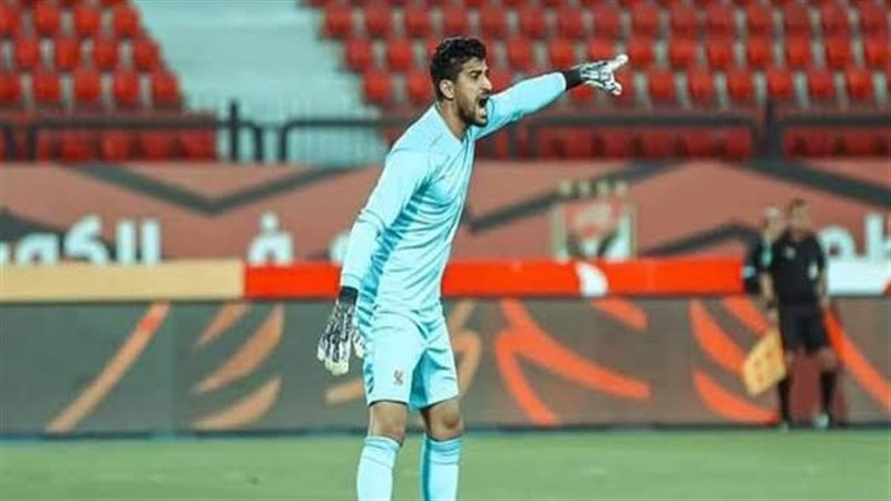 علي لطفي
