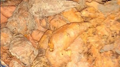 ضبط 7100 كيلو مخلل فاسد فى حملة مكبرة بالعريش