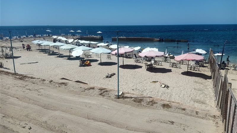 الاسكندريه