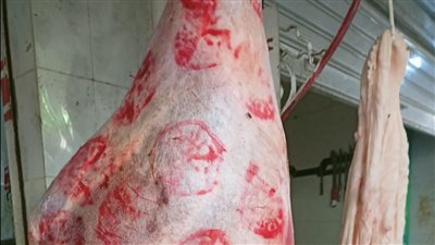 فتح المجازر بالمجان خلال عيد الأضحى بالمنوفية