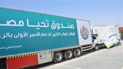 دعم الحالات الأولى بالرعاية بـ47 قرية في الوادي الجديد