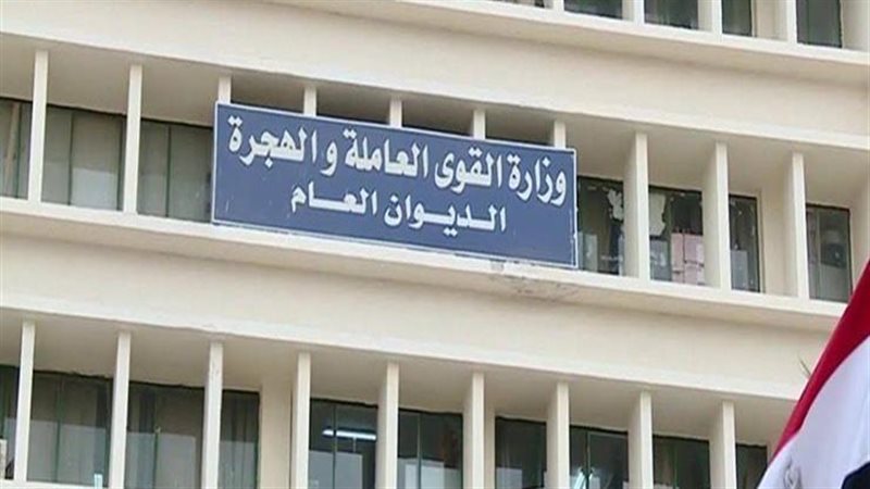 وزارة القوي العاملة