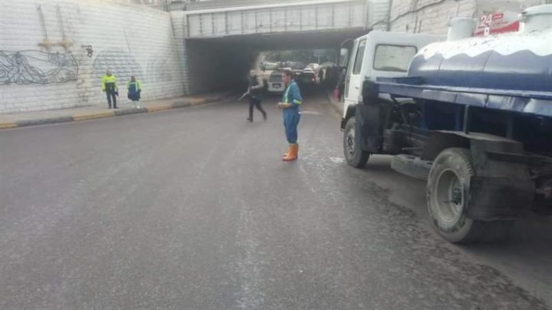 الاسكندريه 