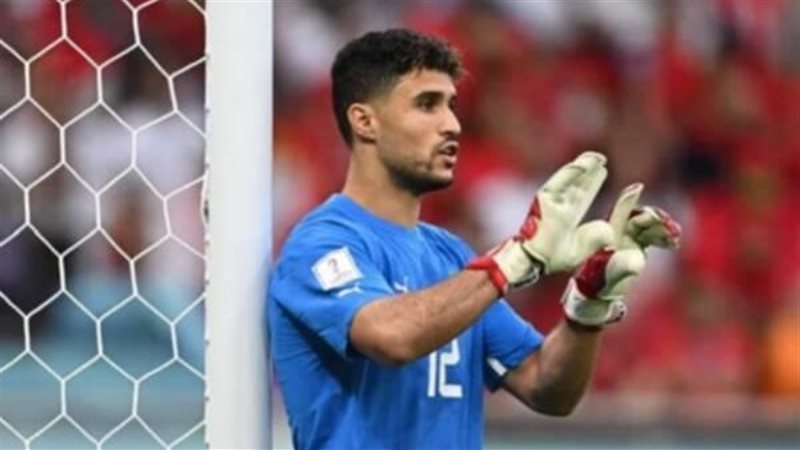 منير المحمدي 