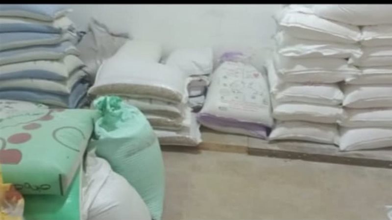 تموين الإسكندرية