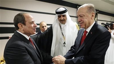 الرئاسة التركية تعلن تفاصيل جديدة عن اجتماع الـ 45 دقيقة بين السيسي وأردوغان